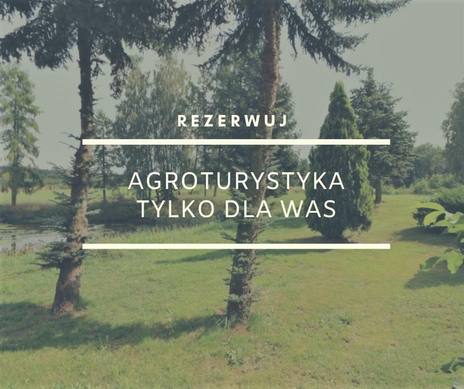 Dom Wakacyjny Z Ogromnym Ogrodem Witaszyn Dış mekan fotoğraf
